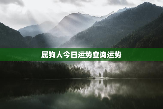 属狗人今日运势查询运势
