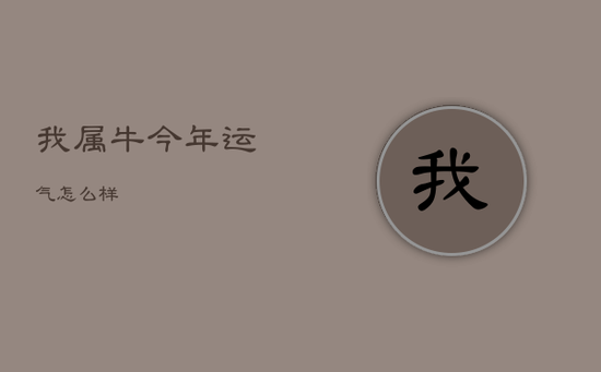 我属牛今年运气怎么样