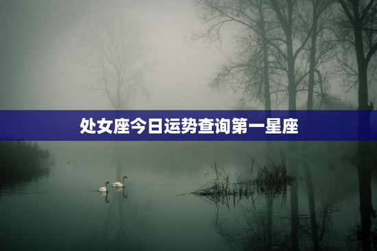 处女座今日运势查询第一星座