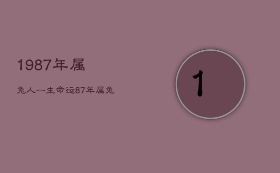1987年属兔人一生命运,87年属兔36岁有一灾 1987年属兔人一生命运,87年属兔36岁有一灾