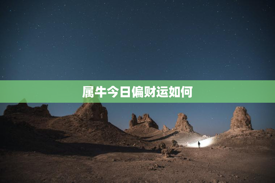 属牛今日偏财运如何