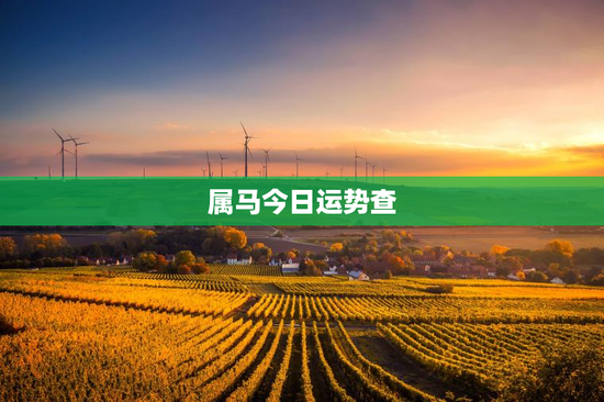 属马今日运势查