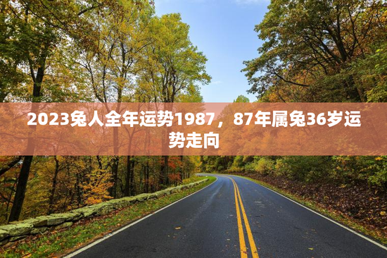 2023兔人全年运势1987,87年属兔36岁运势走向 2023兔人全年运势1987,87年属兔36岁运势走向