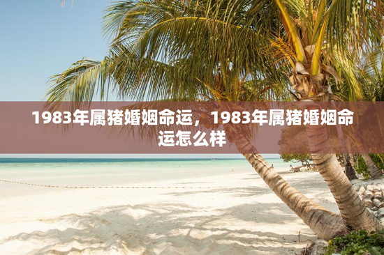 1983年属猪婚姻命运,1983年属猪婚姻命运怎么样 1983年属猪婚姻命运,1983年属猪婚姻命运怎么样