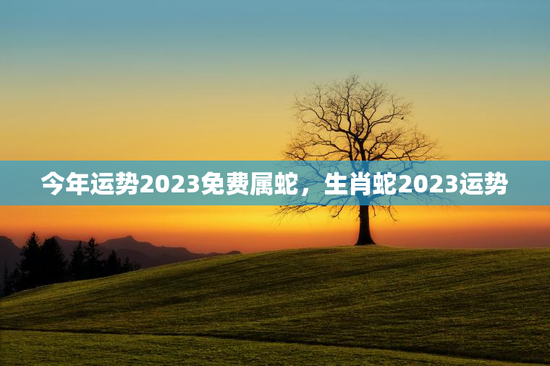 今年运势2023免费属蛇，生肖蛇2023运势