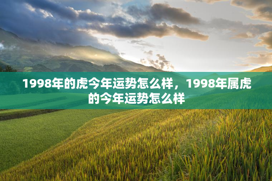 1998年的虎今年运势怎么样,1998年属虎的今年运势怎么样 1998年的虎今年运势怎么样,1998年属虎的今年运势怎么样