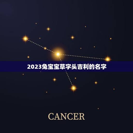 2023兔宝宝草字头吉利的名字（宜用字、注意事项）