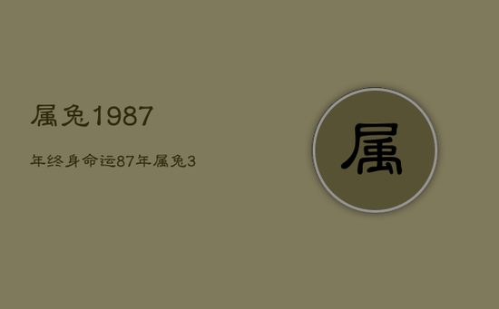 属兔1987年终身命运，87年属兔36岁有一灾