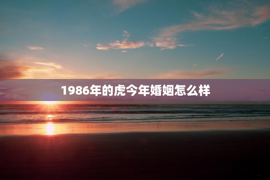 1986年的虎今年婚姻怎么样 1986年的虎今年婚姻怎么样