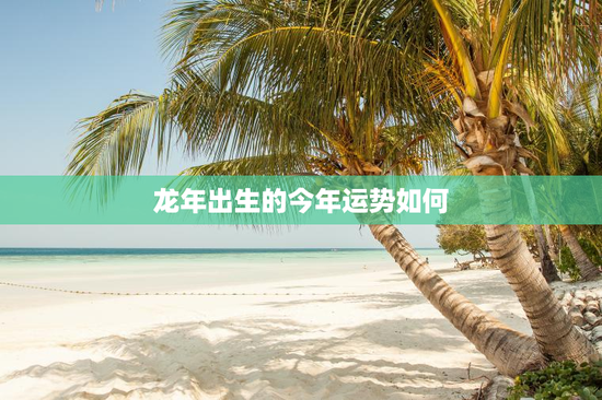 龙年出生的今年运势如何
