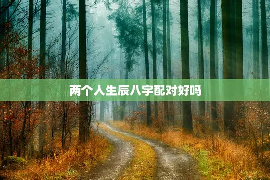 两个人生辰八字配对好吗，俩人的生辰八字