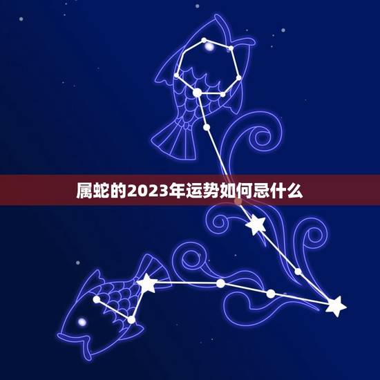 属蛇的2023年运势如何忌什么(预测及应对步骤)