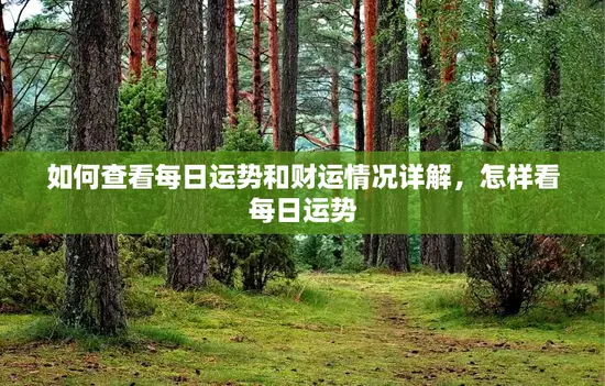 如何查看每日运势和财运情况详解,怎样看每日运势 如何查看每日运势和财运情况详解,怎样看每日运势