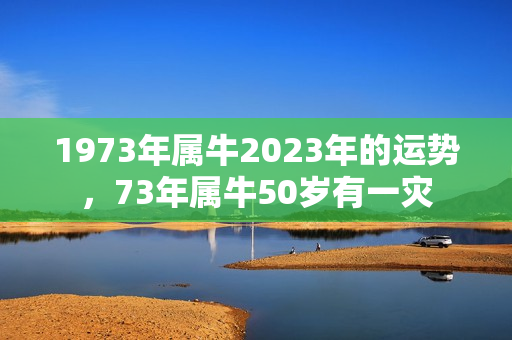 1973年属牛2023年的运势，73年属牛50岁有一灾