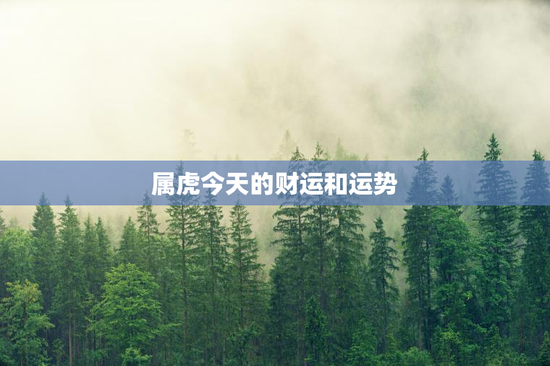 属虎今天的财运和运势