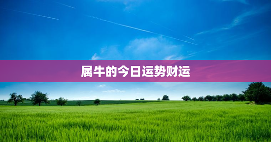 属牛的今日运势财运