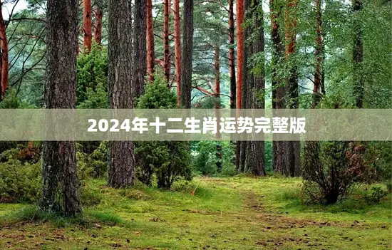 2024年十二生肖运势完整版