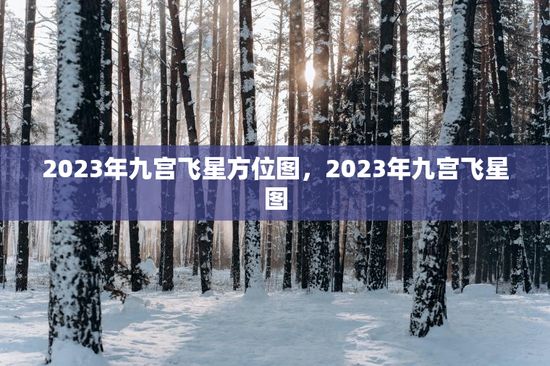 2023年九宫飞星方位图,2023年九宫飞星图 2023年九宫飞星方位图,2023年九宫飞星图