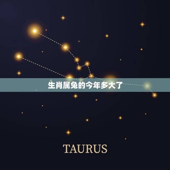 生肖属兔的今年多大了(2023年生肖兔运势分析) 生肖属兔的今年多大了(2023年生肖兔运势分析)
