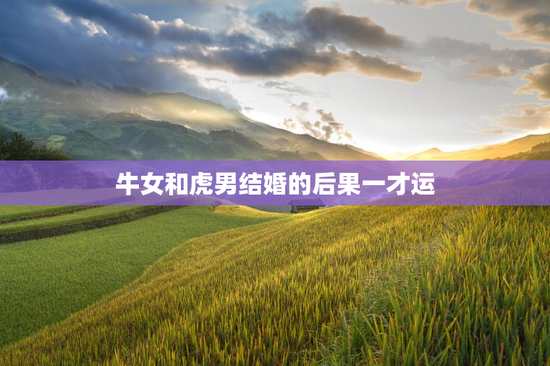 牛女和虎男结婚的后果一才运，牛女和虎男的属相合不合 在一起好吗