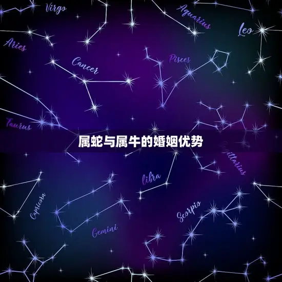 属蛇与属牛的婚姻优势