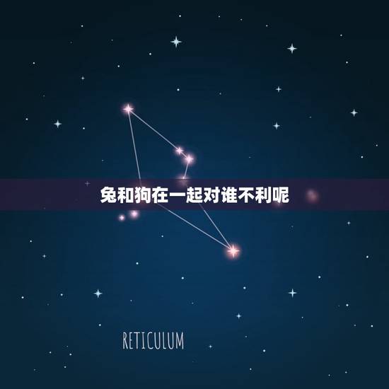 兔和狗在一起对谁不利呢(讨论兔子和狗的相处之路)