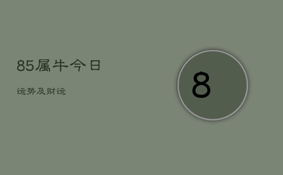 85属牛今日运势及财运