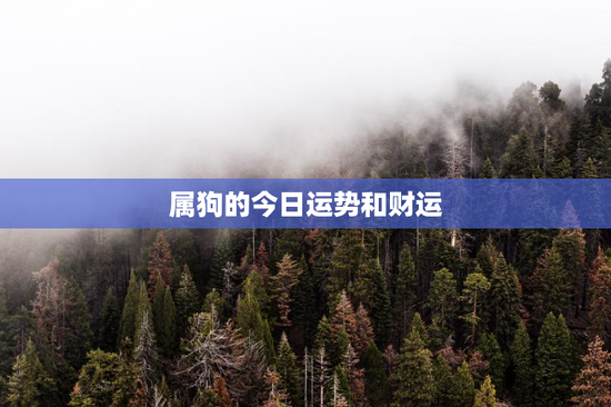 属狗的今日运势和财运 属狗的今日运势和财运