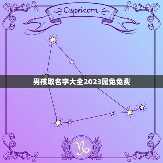 男孩取名字大全2023属兔免费(名字的含义和对起名的建议) 男孩取名字大全2023属兔免费(名字的含义和对起名的建议)