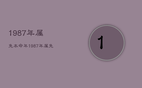 1987年属兔本命年,1987年属兔35岁以后命运 1987年属兔本命年,1987年属兔35岁以后命运