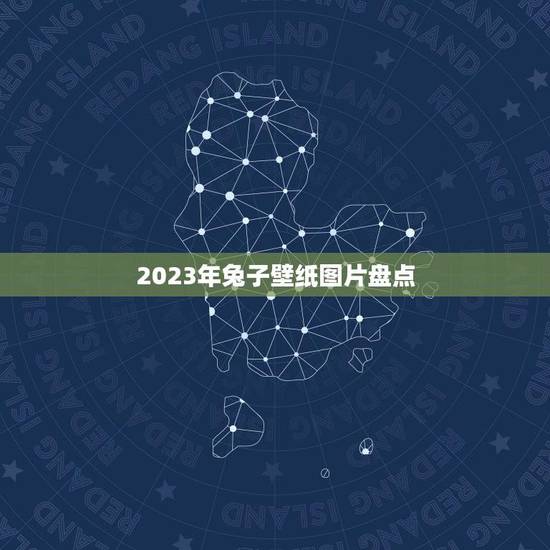 2023年兔子壁纸图片盘点(兔子壁纸推荐)