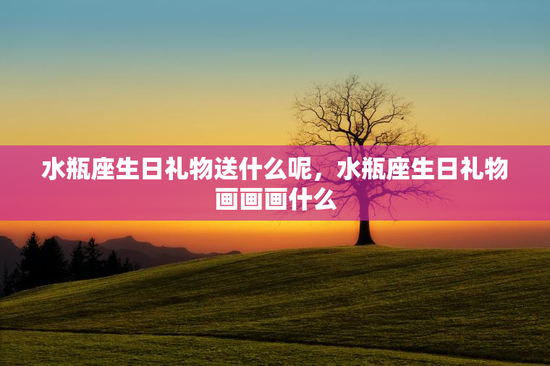 水瓶座生日礼物送什么呢，水瓶座生日礼物画画画什么