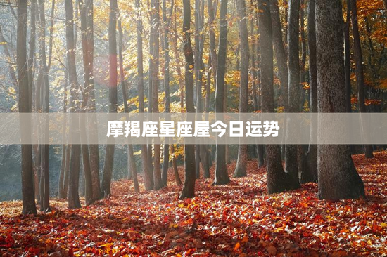 摩羯座星座屋今日运势 摩羯座星座屋今日运势