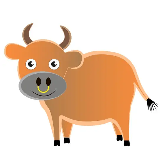 1949年属牛晚年运程(如何预测)