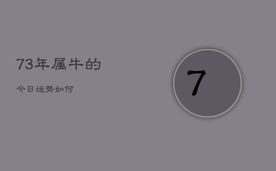 73年属牛的今日运势如何