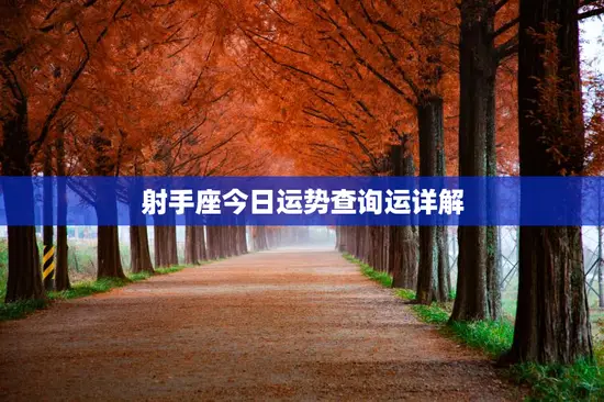 射手座今日运势查询运详解 射手座今日运势查询运详解