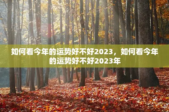 如何看今年的运势好不好2023，如何看今年的运势好不好2023年
