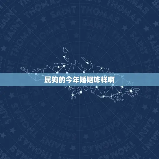 属狗的今年婚姻咋样啊