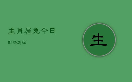 生肖属兔今日财运怎样