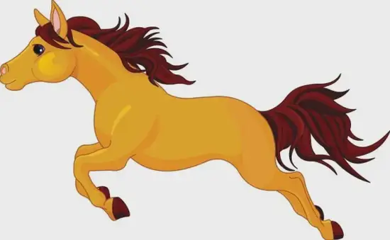 生肖马今日财位解析图