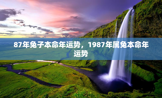 87年兔子本命年运势,1987年属兔本命年运势 87年兔子本命年运势,1987年属兔本命年运势