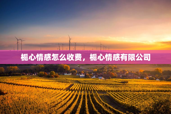 栀心情感怎么收费，栀心情感有限公司