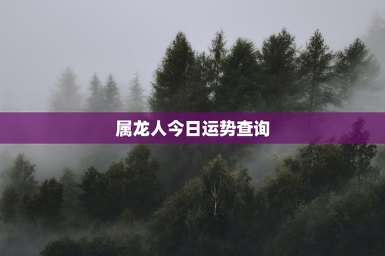 属龙人今日运势查询