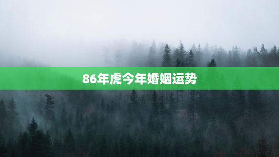 86年虎今年婚姻运势 86年虎今年婚姻运势