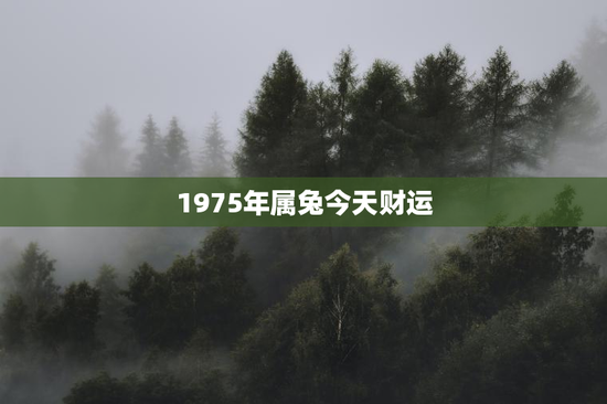 1975年属兔今天财运
