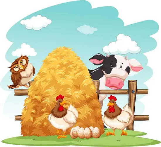 93年冬月鸡命运怎么样(解析财运、事业、感情、健康全面分析)