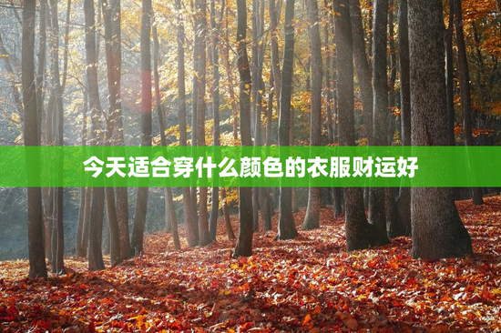 今天适合穿什么颜色的衣服财运好