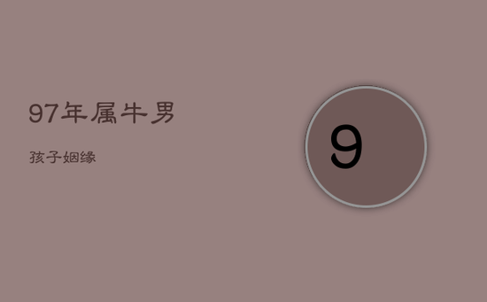 97年属牛男孩子姻缘