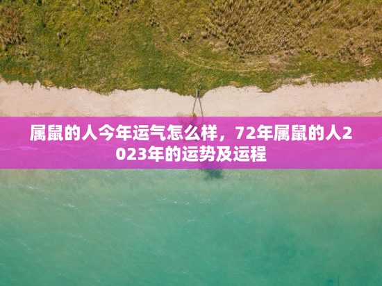 属鼠的人今年运气怎么样,72年属鼠的人2023年的运势及运程 属鼠的人今年运气怎么样,72年属鼠的人2023年的运势及运程