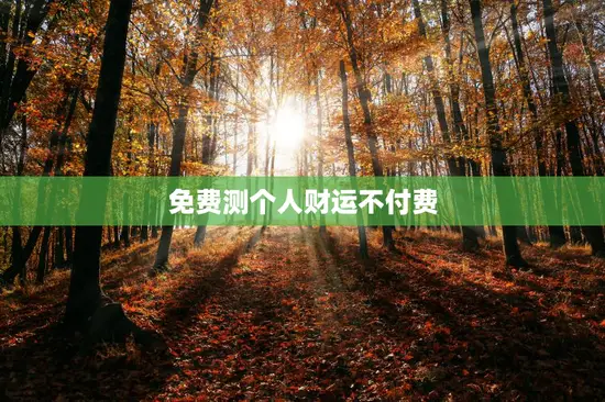 免费测个人财运不付费 免费测个人财运不付费